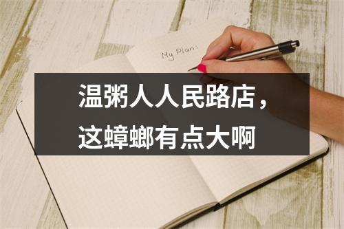 温粥人人民路店，这蟑螂有点大啊