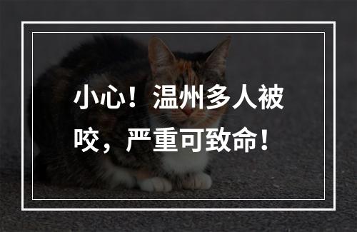 小心！温州多人被咬，严重可致命！