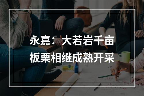 永嘉：大若岩千亩板栗相继成熟开采