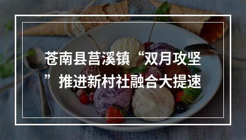 苍南县莒溪镇“双月攻坚”推进新村社融合大提速