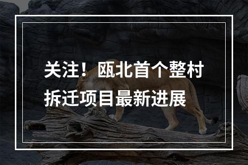 关注！瓯北首个整村拆迁项目最新进展