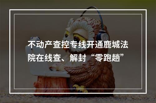 不动产查控专线开通鹿城法院在线查、解封“零跑趟”