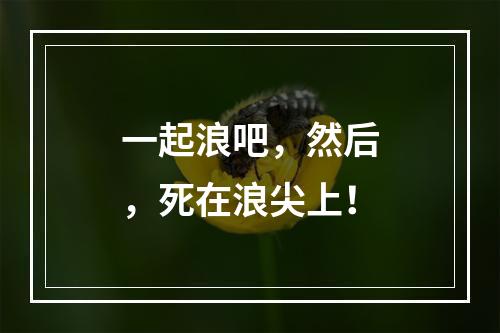 一起浪吧，然后，死在浪尖上！