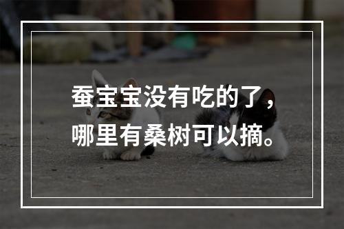 蚕宝宝没有吃的了，哪里有桑树可以摘。