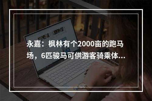 永嘉：枫林有个2000亩的跑马场，6匹骏马可供游客骑乘体验