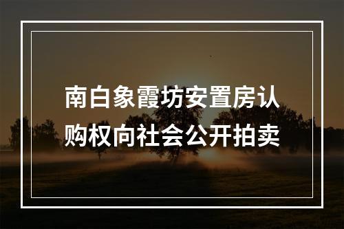 南白象霞坊安置房认购权向社会公开拍卖