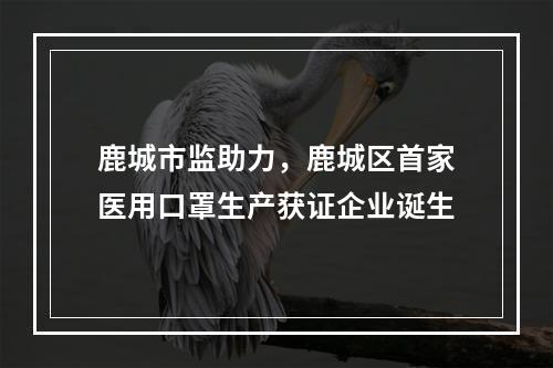 鹿城市监助力，鹿城区首家医用口罩生产获证企业诞生
