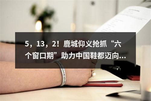 5，13，2！鹿城仰义抢抓“六个窗口期”助力中国鞋都迈向世界鞋都