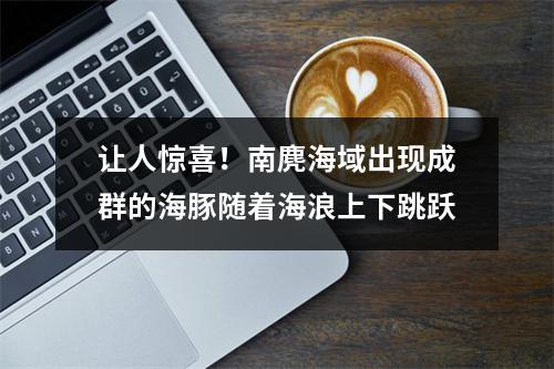 让人惊喜！南麂海域出现成群的海豚随着海浪上下跳跃