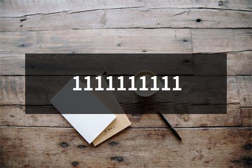 1111111111