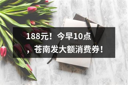 188元！今早10点，苍南发大额消费券！