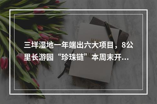三垟湿地一年端出六大项目，8公里长游园“珍珠链”本周末开通