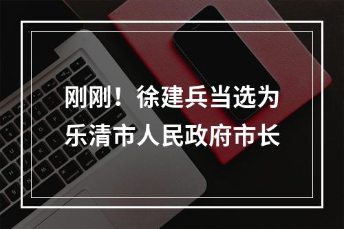 刚刚！徐建兵当选为乐清市人民政府市长