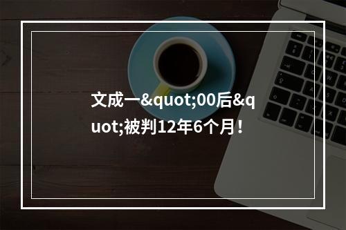 文成一"00后"被判12年6个月！