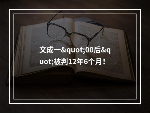 文成一"00后"被判12年6个月！