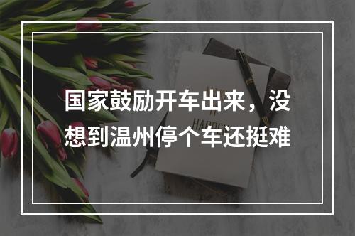 国家鼓励开车出来，没想到温州停个车还挺难