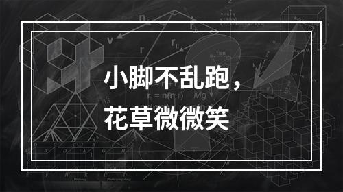 小脚不乱跑，花草微微笑