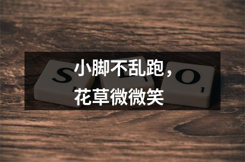 小脚不乱跑，花草微微笑
