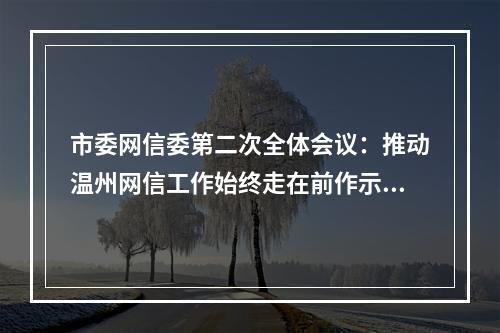 市委网信委第二次全体会议：推动温州网信工作始终走在前作示范