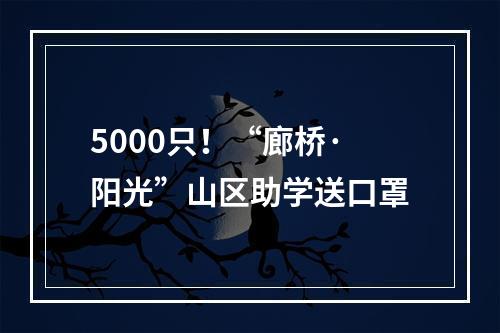 5000只！“廊桥·阳光”山区助学送口罩