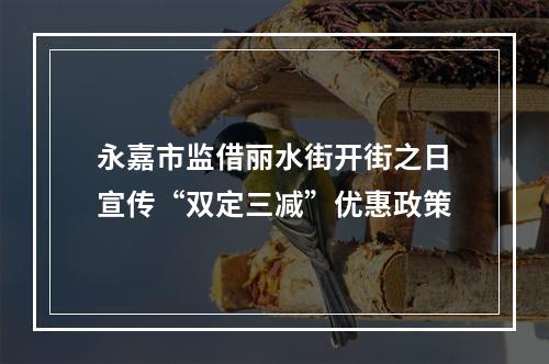 永嘉市监借丽水街开街之日宣传“双定三减”优惠政策