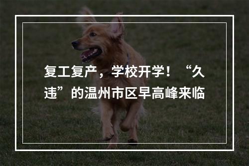 复工复产，学校开学！“久违”的温州市区早高峰来临