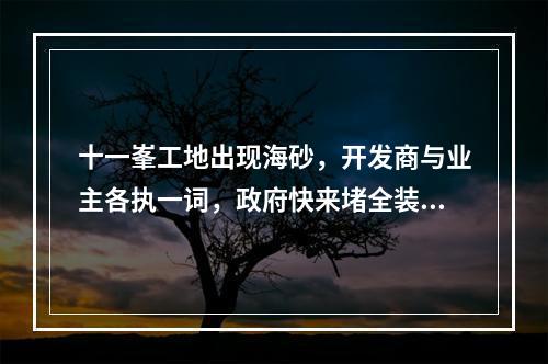 十一峯工地出现海砂，开发商与业主各执一词，政府快来堵全装修这些“漏洞” ...