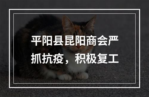 平阳县昆阳商会严抓抗疫，积极复工