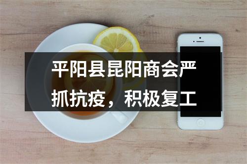 平阳县昆阳商会严抓抗疫，积极复工