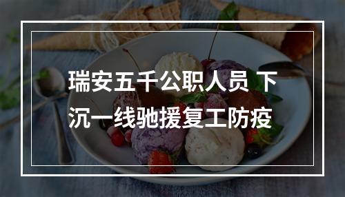 瑞安五千公职人员 下沉一线驰援复工防疫