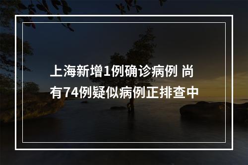 上海新增1例确诊病例 尚有74例疑似病例正排查中