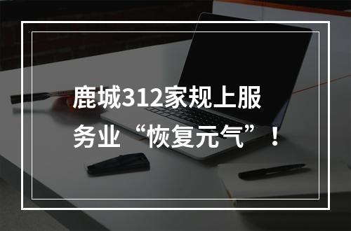 鹿城312家规上服务业“恢复元气”！
