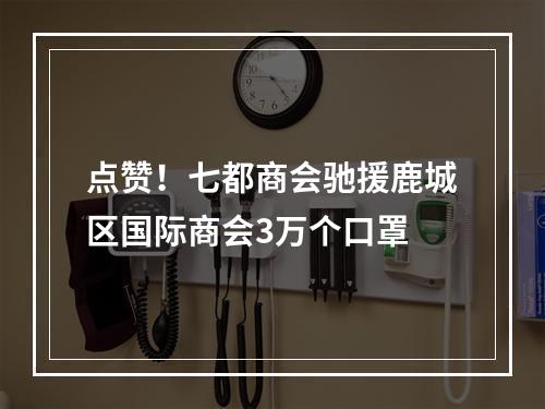 点赞！七都商会驰援鹿城区国际商会3万个口罩