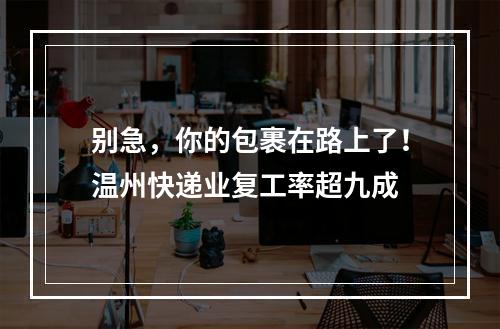别急，你的包裹在路上了！温州快递业复工率超九成