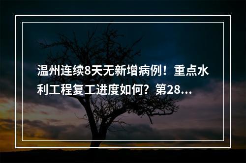 温州连续8天无新增病例！重点水利工程复工进度如何？第28场发布会带来这些信息