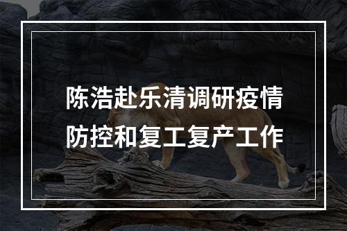 陈浩赴乐清调研疫情防控和复工复产工作