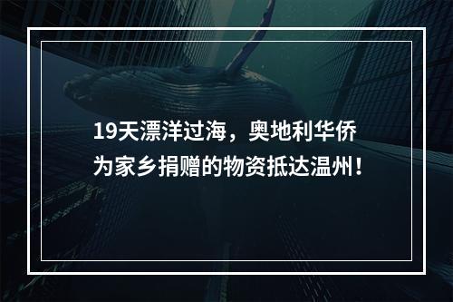 19天漂洋过海，奥地利华侨为家乡捐赠的物资抵达温州！