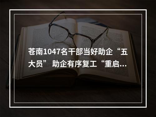 苍南1047名干部当好助企“五大员” 助企有序复工“重启”