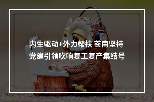 内生驱动+外力帮扶 苍南坚持党建引领吹响复工复产集结号