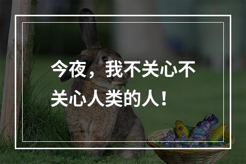 今夜，我不关心不关心人类的人！