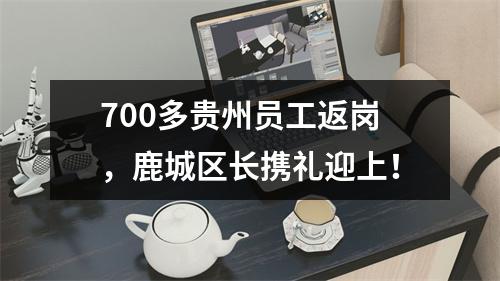 700多贵州员工返岗，鹿城区长携礼迎上！