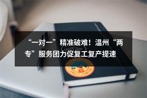 “一对一”精准破难！温州“两专”服务团力促复工复产提速