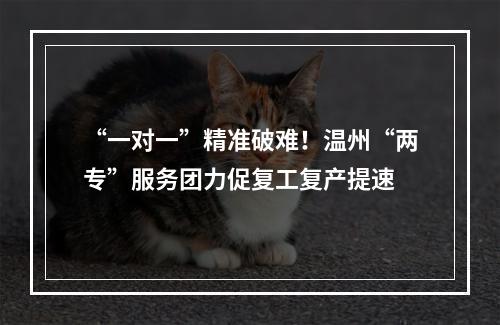 “一对一”精准破难！温州“两专”服务团力促复工复产提速