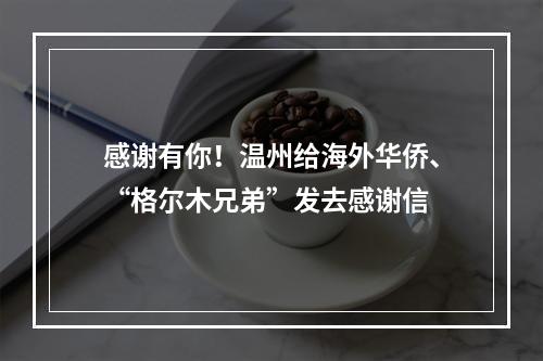 感谢有你！温州给海外华侨、“格尔木兄弟”发去感谢信