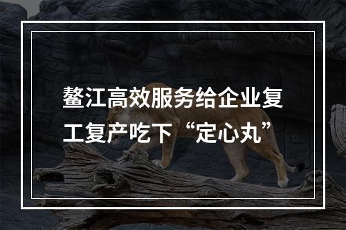 鳌江高效服务给企业复工复产吃下“定心丸”