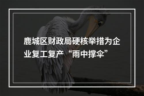鹿城区财政局硬核举措为企业复工复产“雨中撑伞”