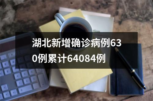 湖北新增确诊病例630例累计64084例