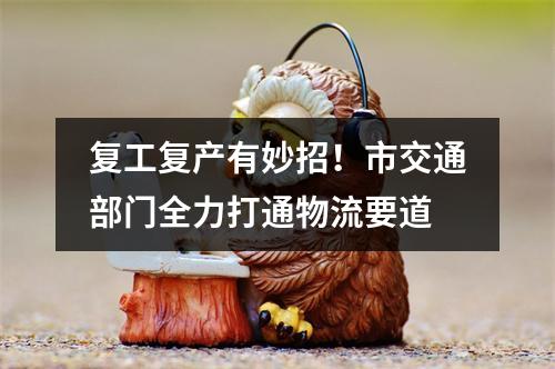 复工复产有妙招！市交通部门全力打通物流要道