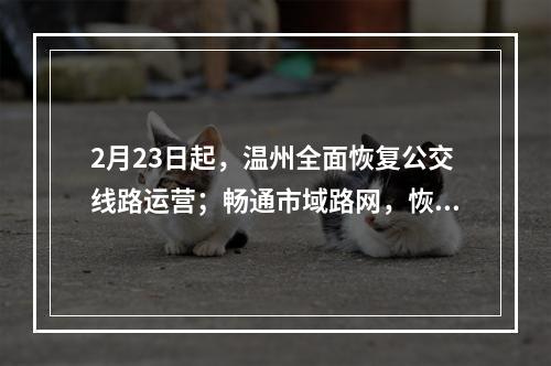 2月23日起，温州全面恢复公交线路运营；畅通市域路网，恢复客运、物流等