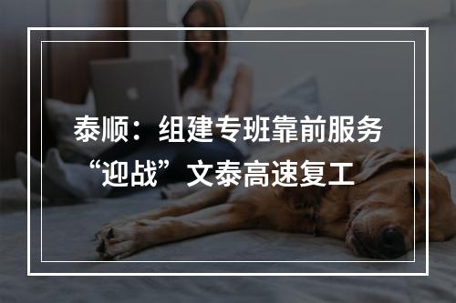 泰顺：组建专班靠前服务“迎战”文泰高速复工